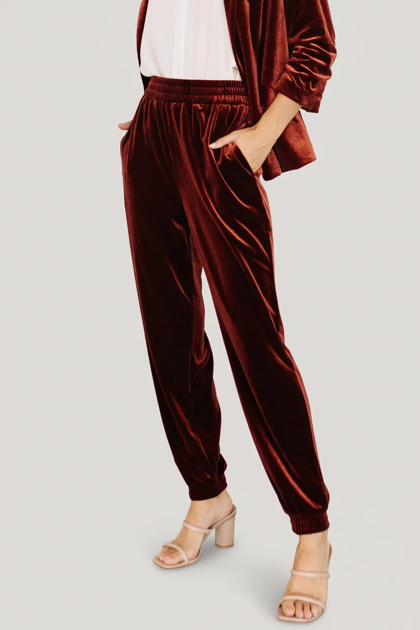 Archie Velvet Jogger Pants | Cinnamon Main image