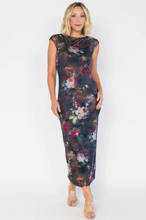 Daniela Mesh Midi Dress | Dark Vintage Floral