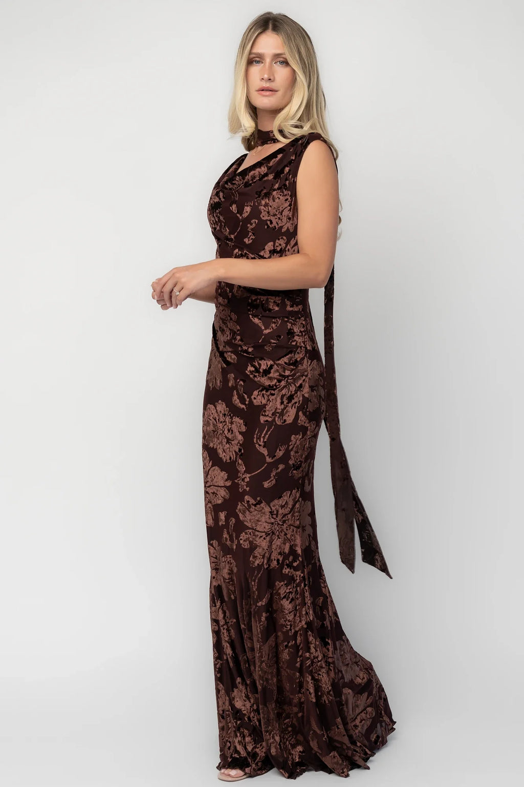 Juilliard Velvet Maxi Dress | Brown