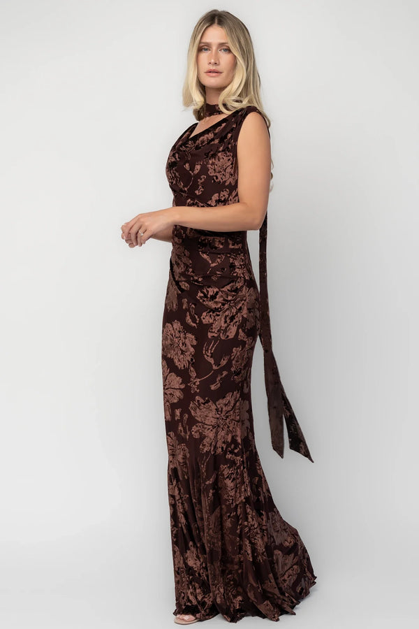 Juilliard Velvet Maxi Dress | Brown