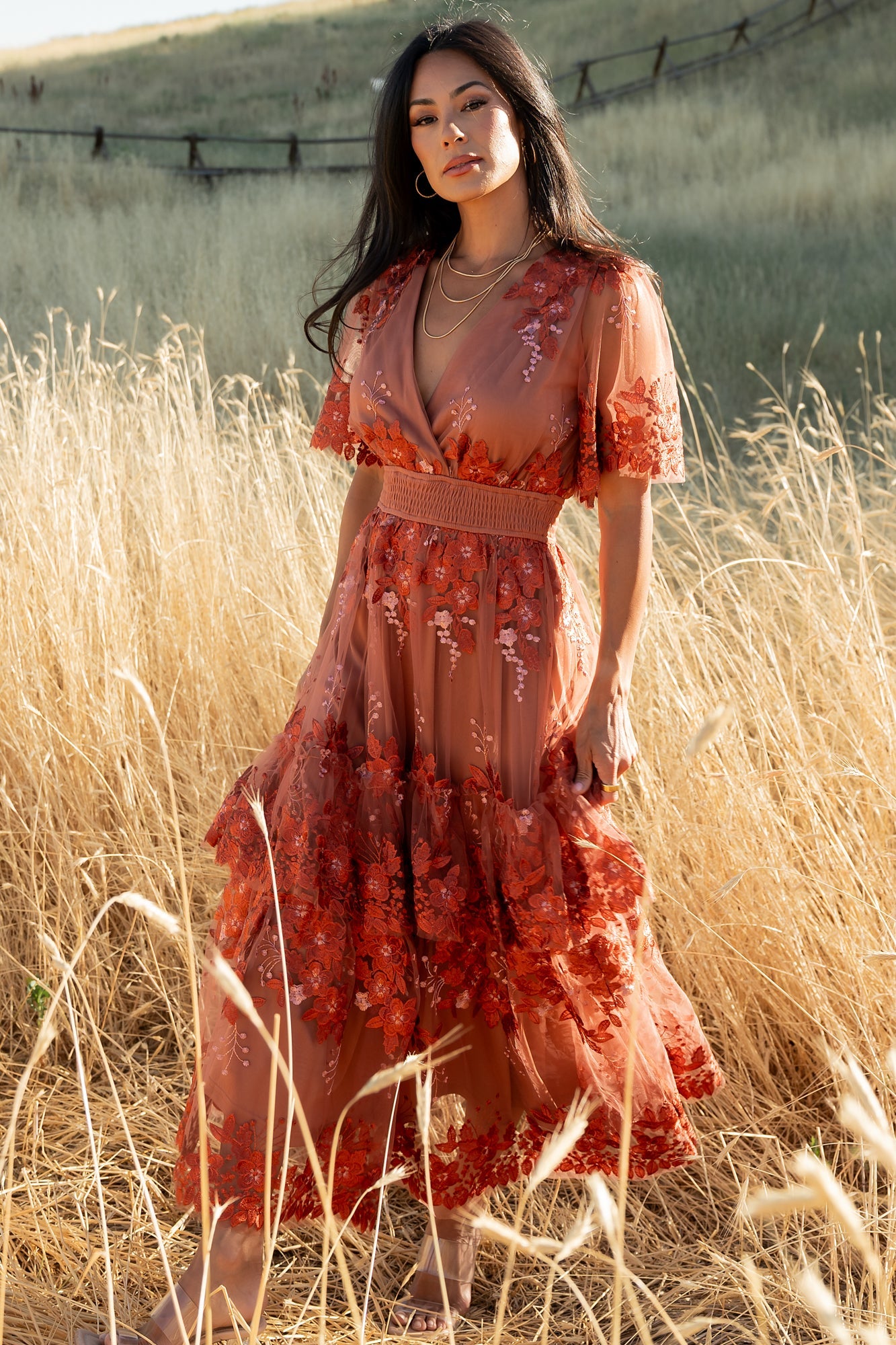 Lotte Embroidered Midi Dress | Rust Secondary image