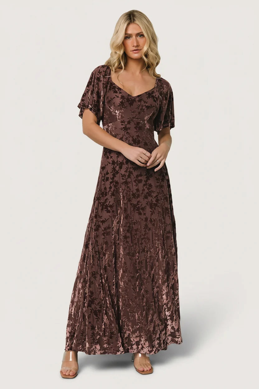 Everley Velvet Maxi Dress | Espresso Main image