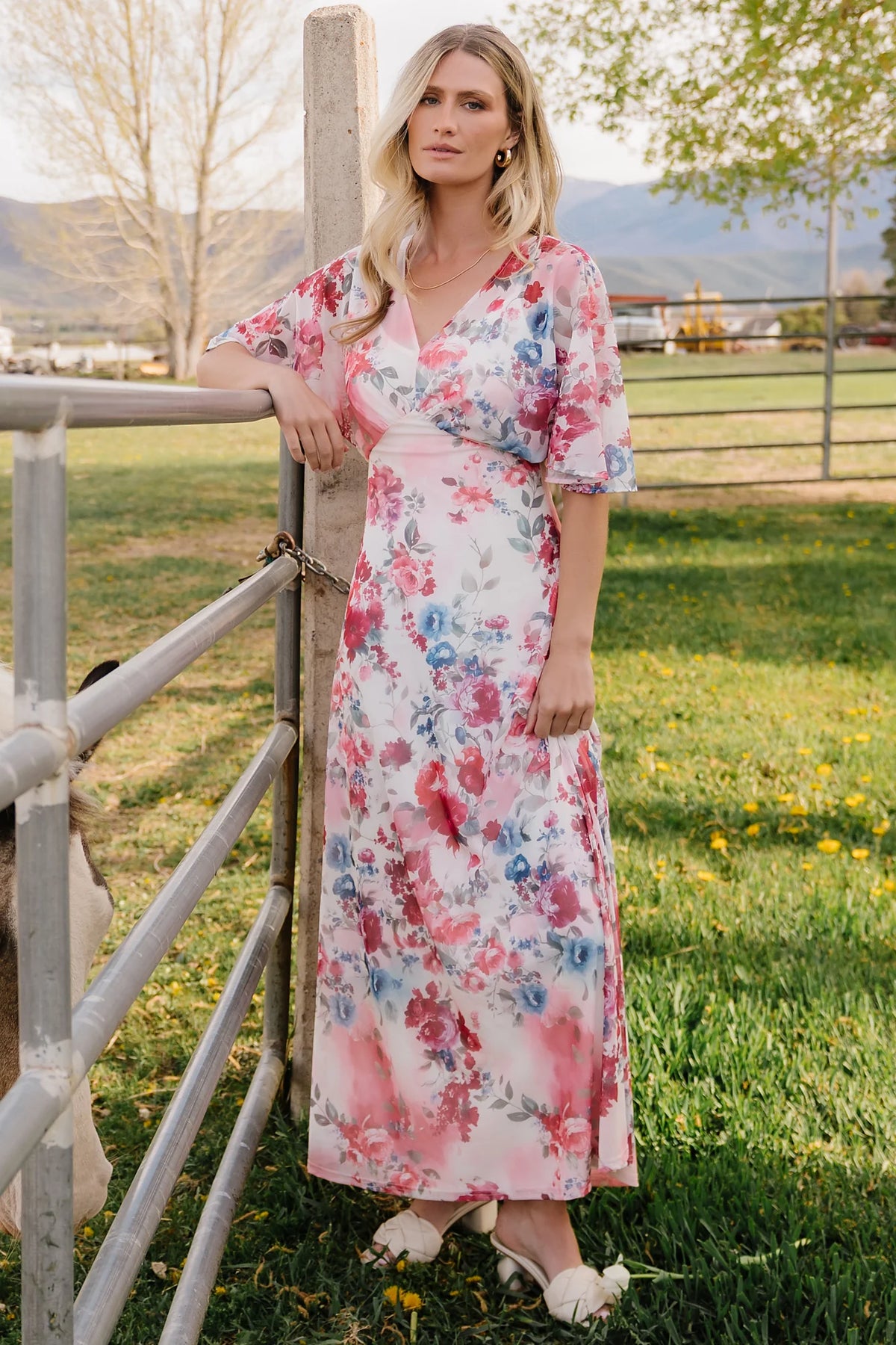 Sevilla Mesh Maxi Dress | Berry Multi Floral Main image