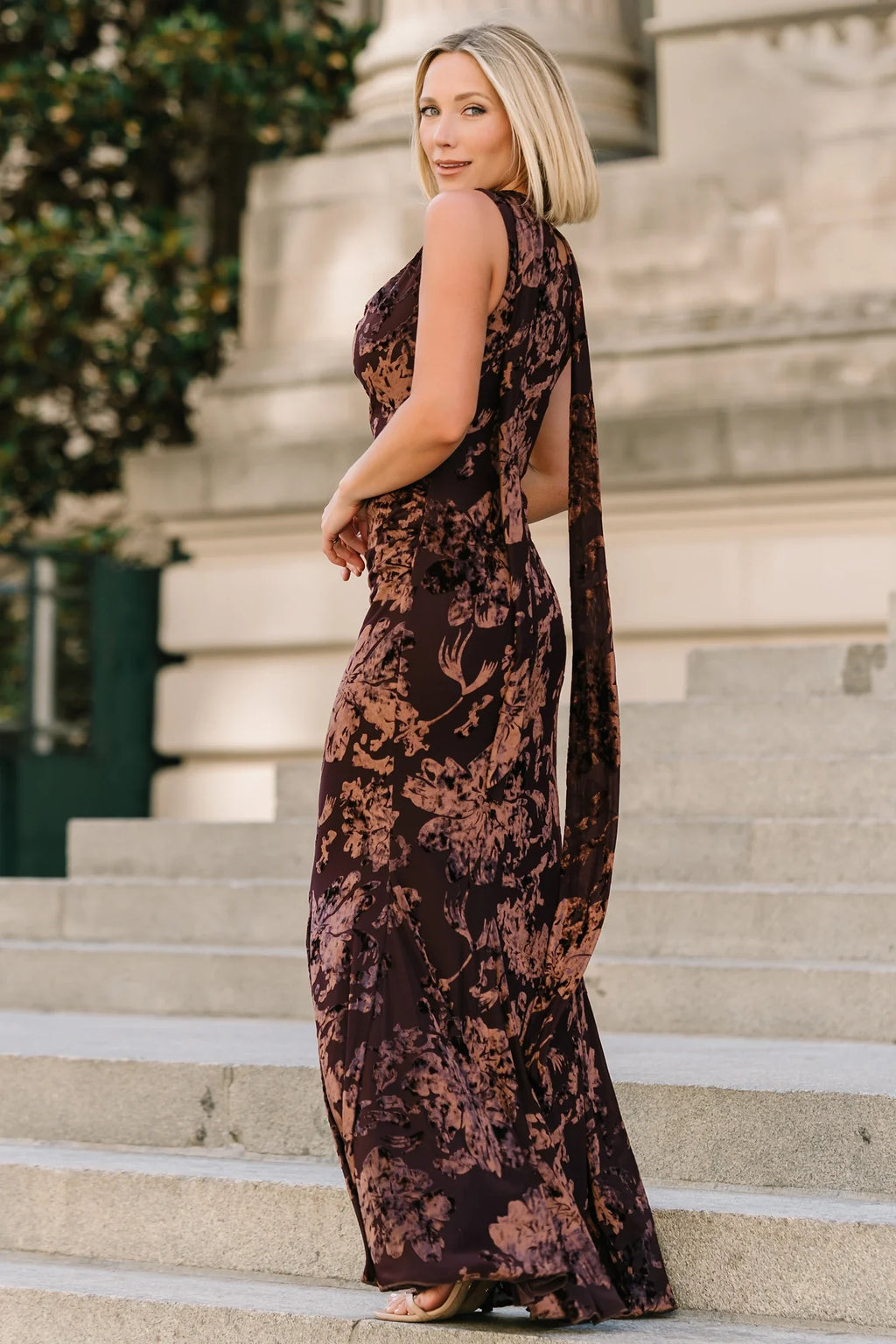 Juilliard Velvet Maxi Dress | Brown
