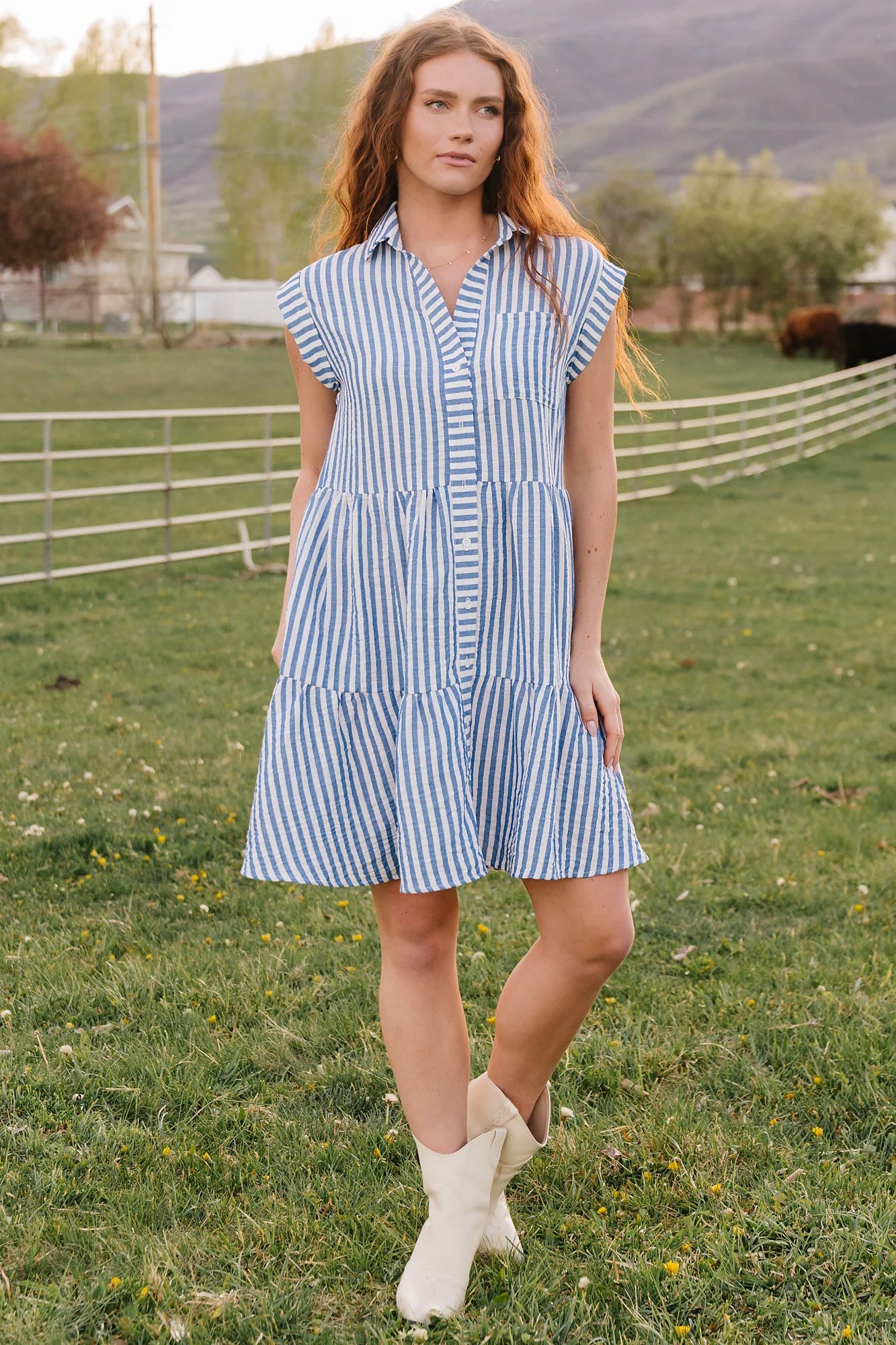 Charlie Short Dress | Blue Stripe Secondary image
