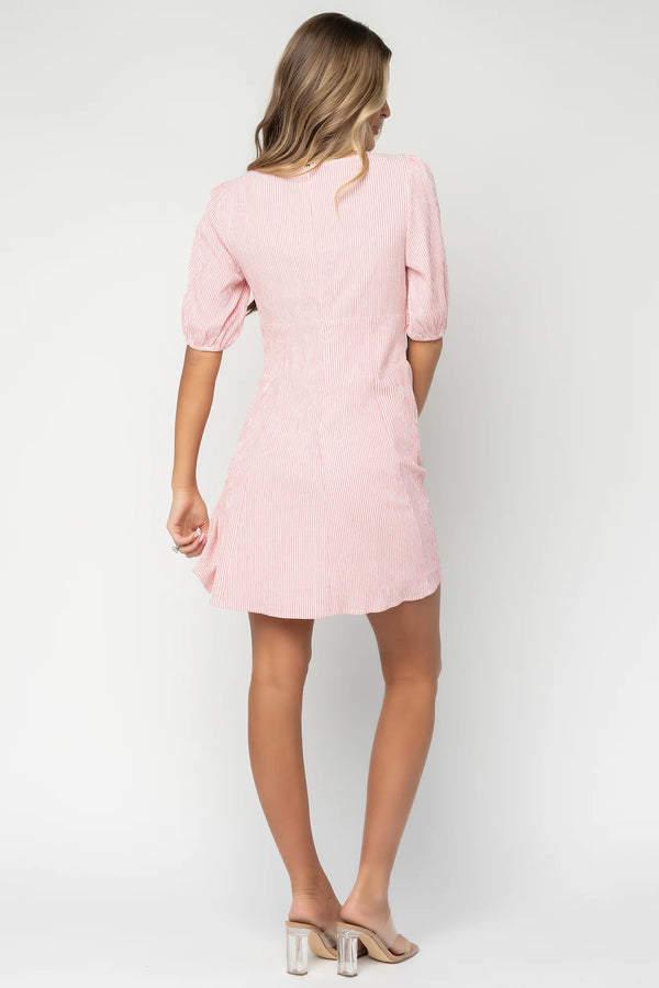 Ginger Tie Short Dress | Pink Stripe