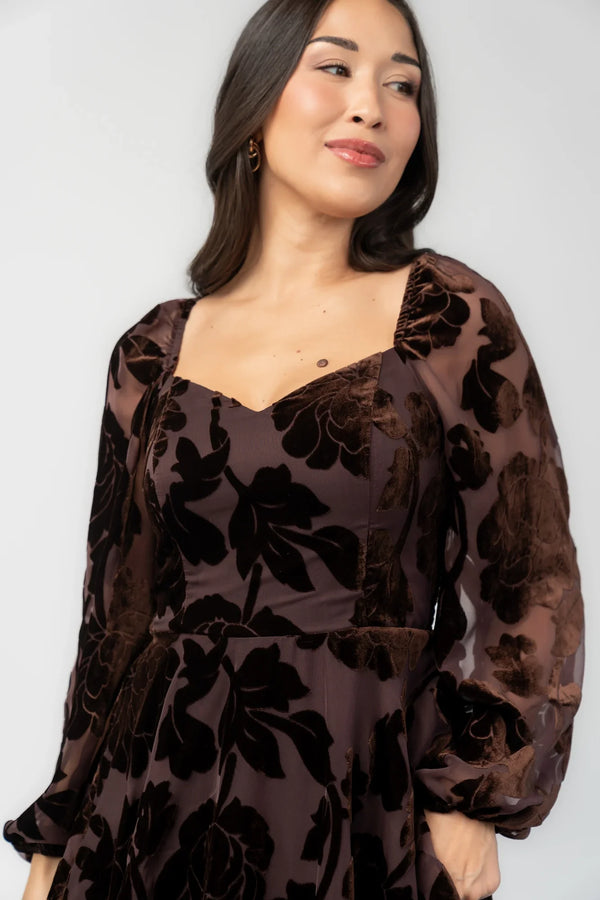 Alexandra Velvet Maxi Dress | Dark Brown