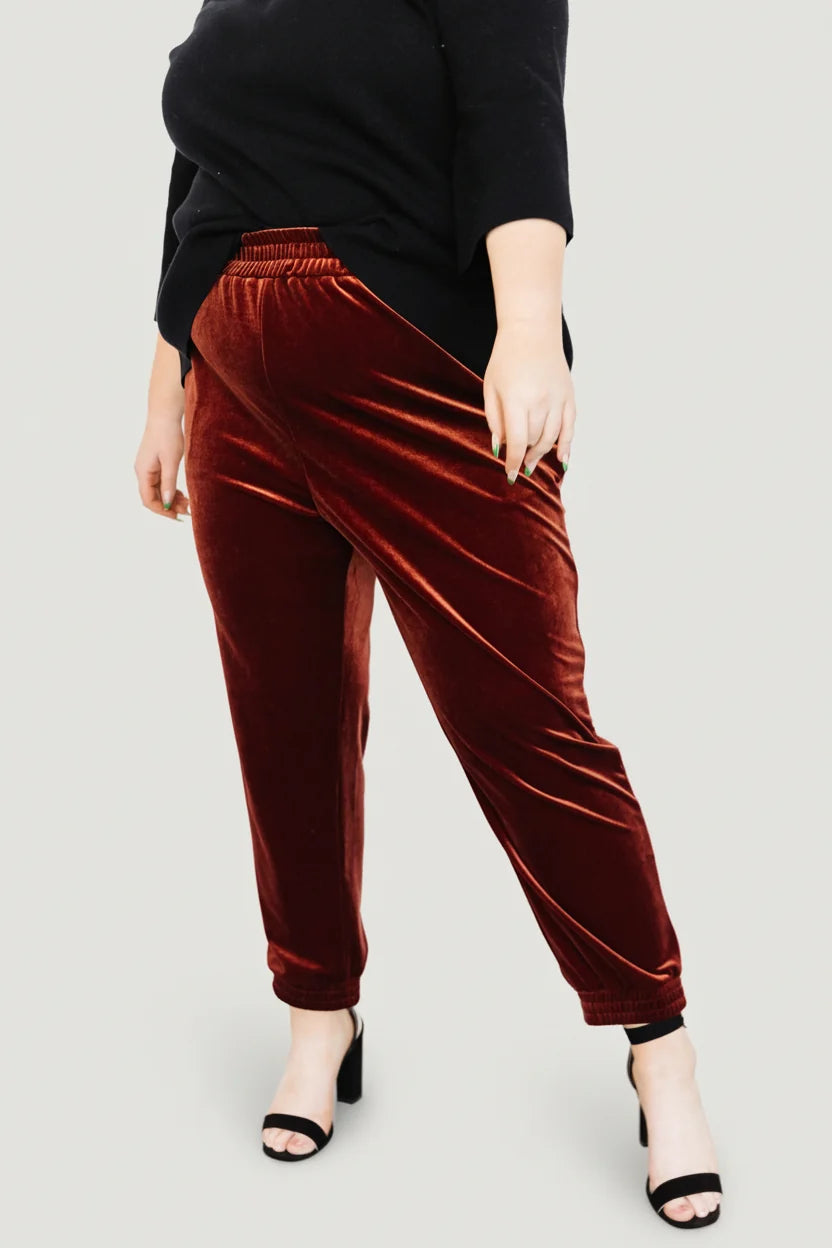 Archie Velvet Jogger Pants | Cinnamon Secondary image