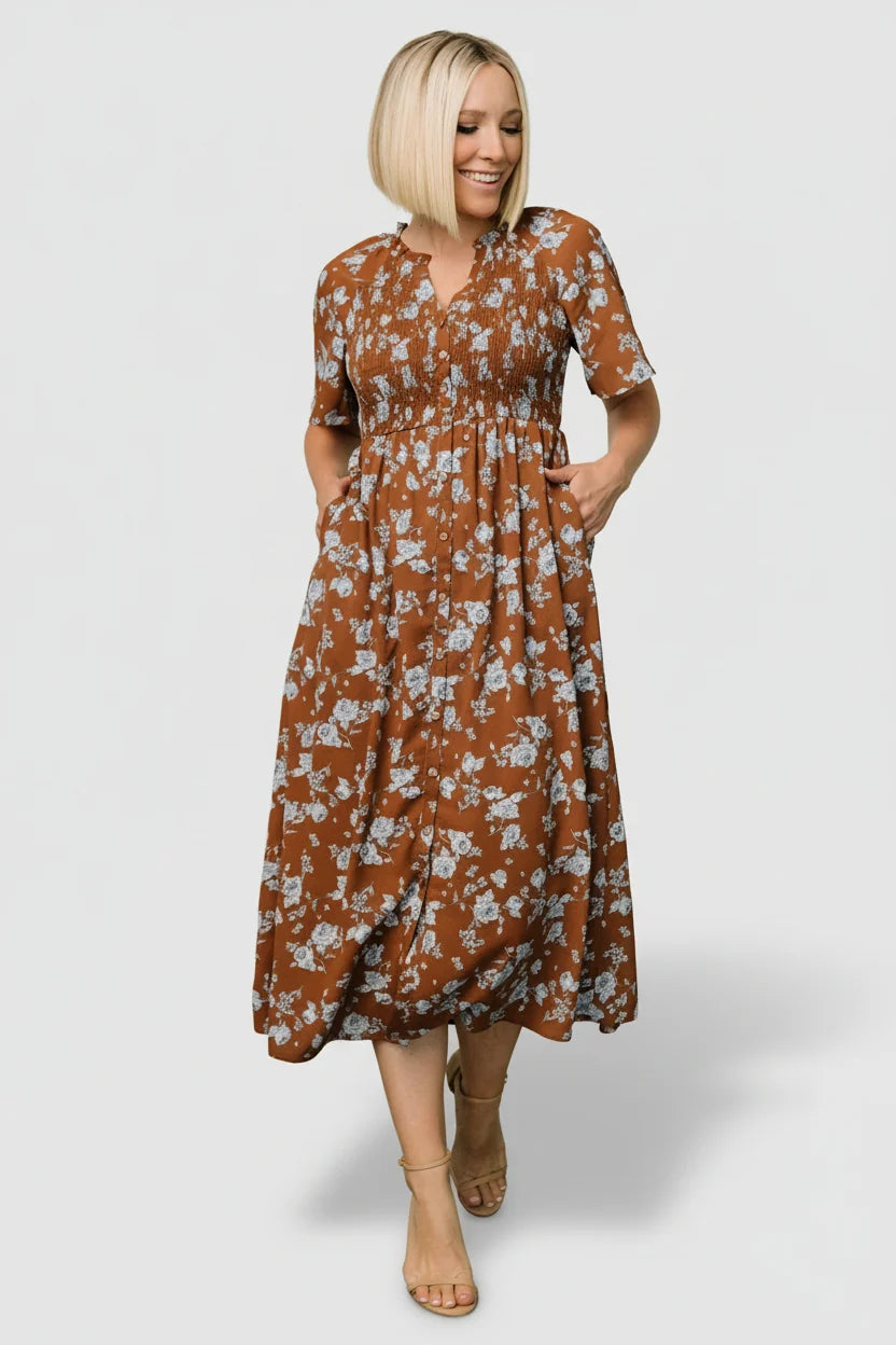 Botega Midi Dress | Brown + Blue