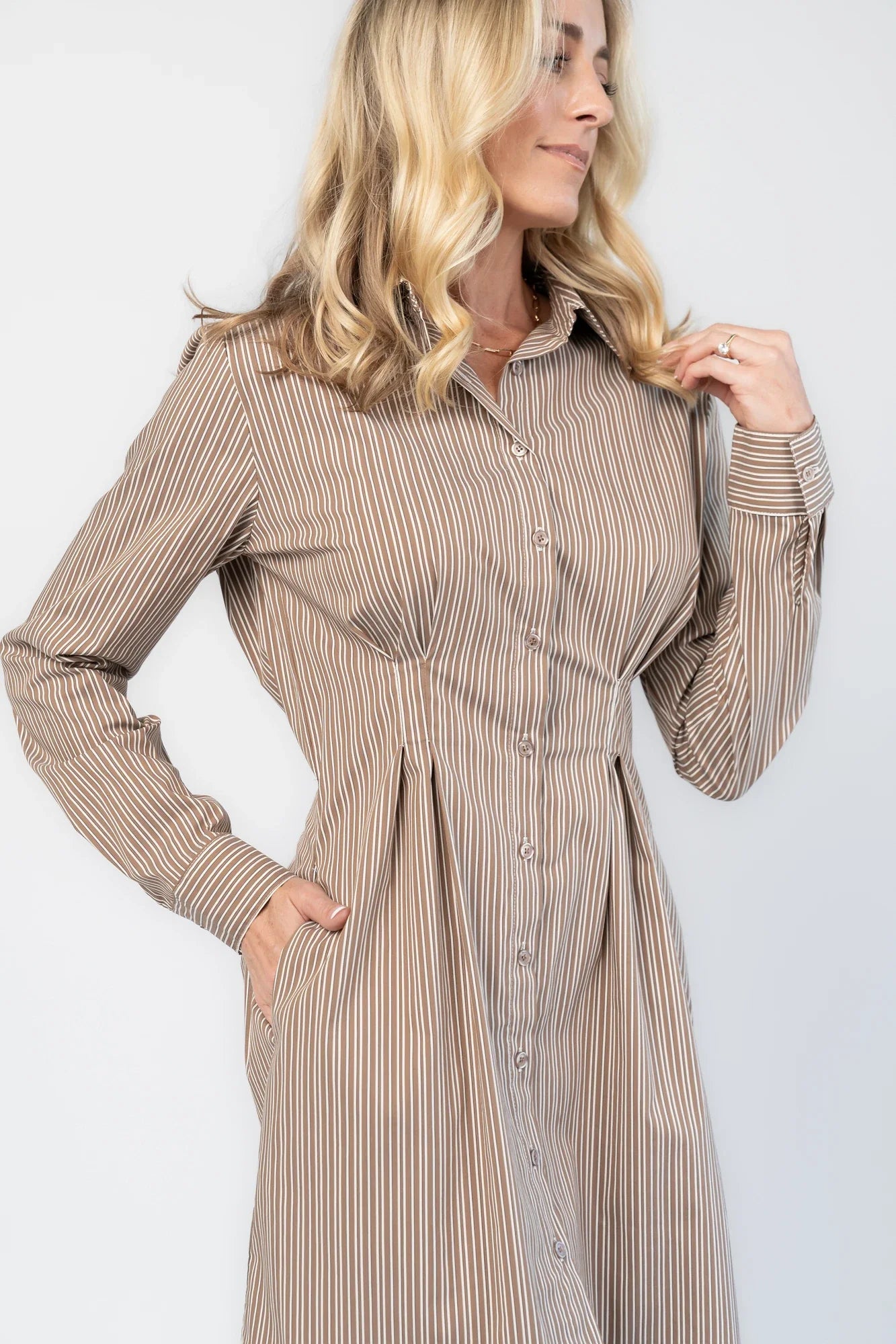Hailey Shirt Dress | Taupe Stripe Secondary image