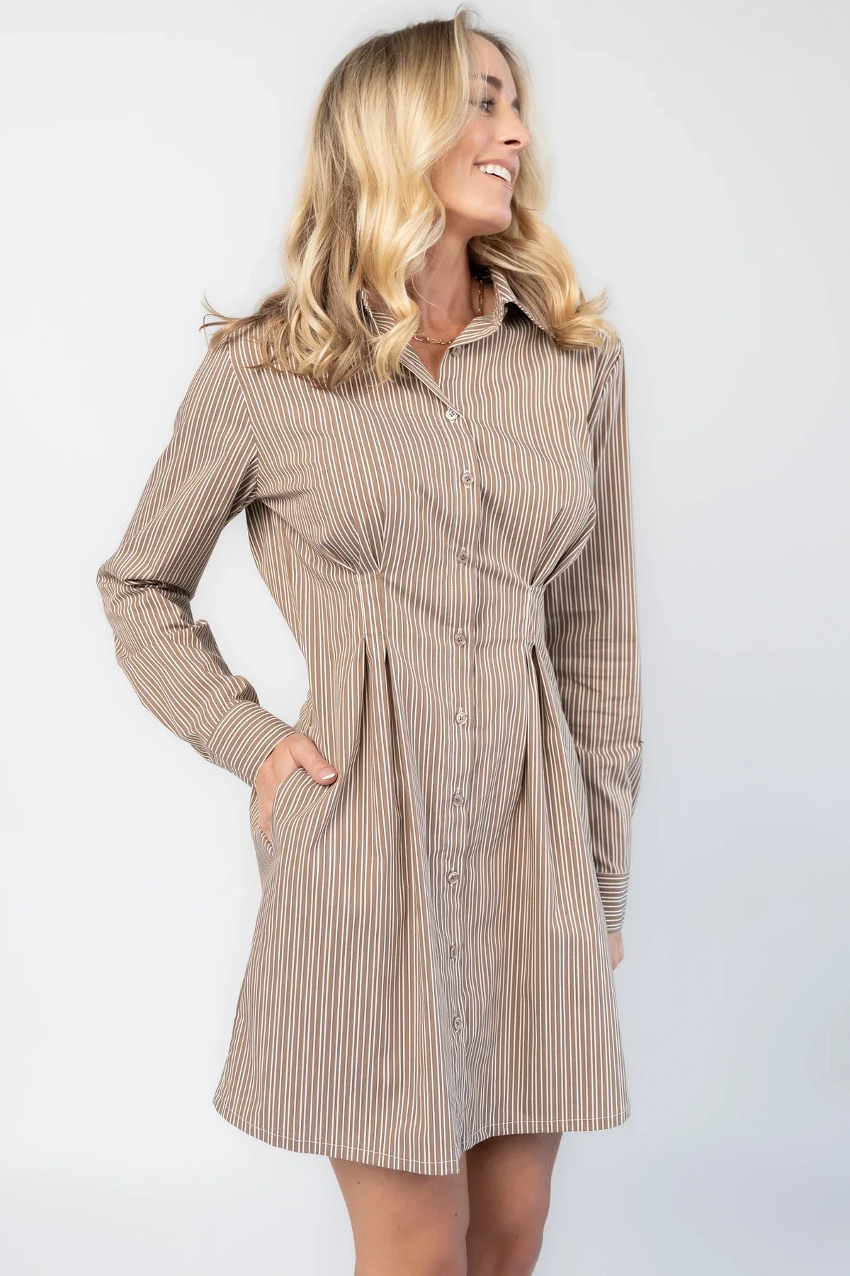 Hailey Shirt Dress | Taupe Stripe