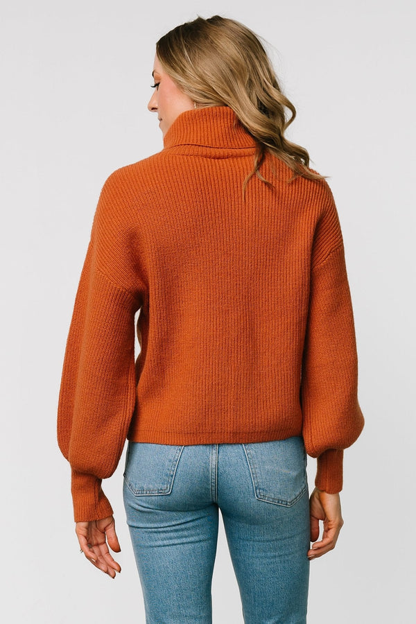 Malcolm Turtleneck Sweater | Spice