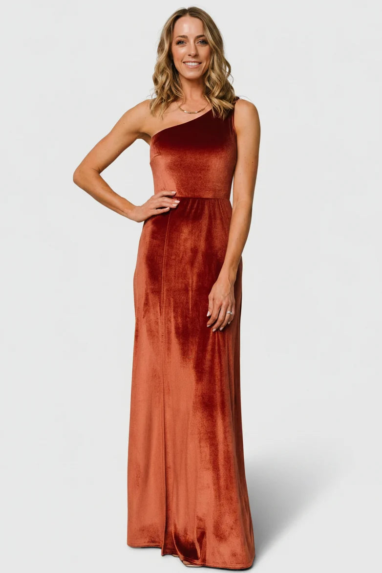 Tatiana Velvet One Shoulder Maxi Dress | Cinnamon Secondary image
